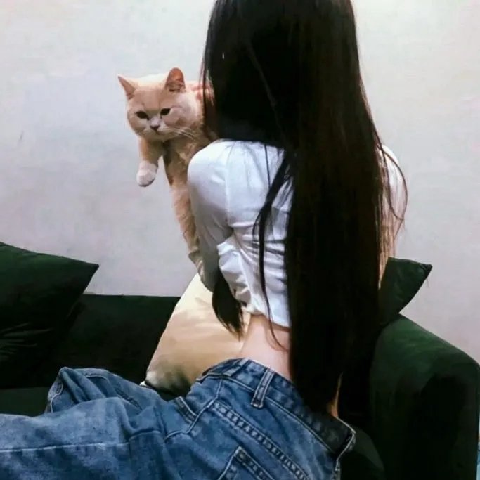 猫咪马汀封面